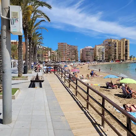 Paseo De La Playa *